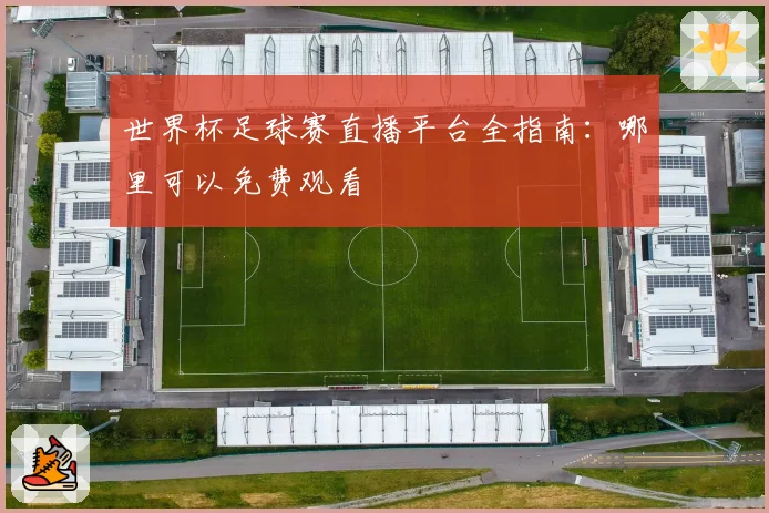 世界杯足球赛直播平台全指南：哪里可以免费观看