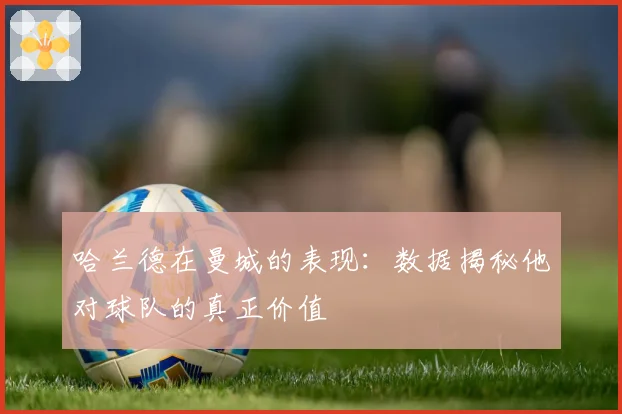 哈兰德在曼城的表现：数据揭秘他对球队的真正价值